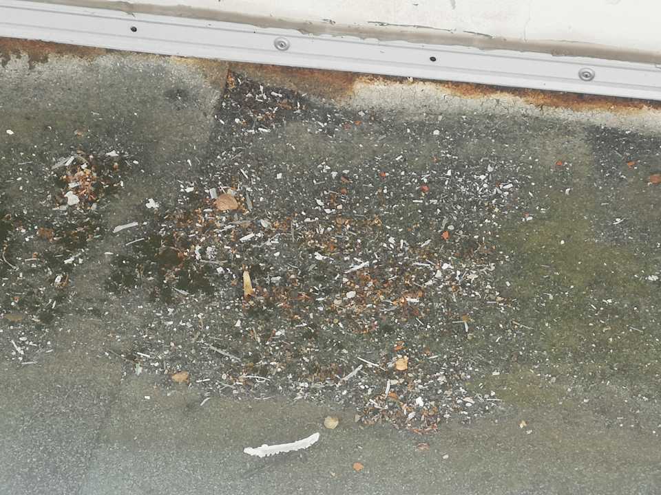 Ausblick Hotel Waldperle