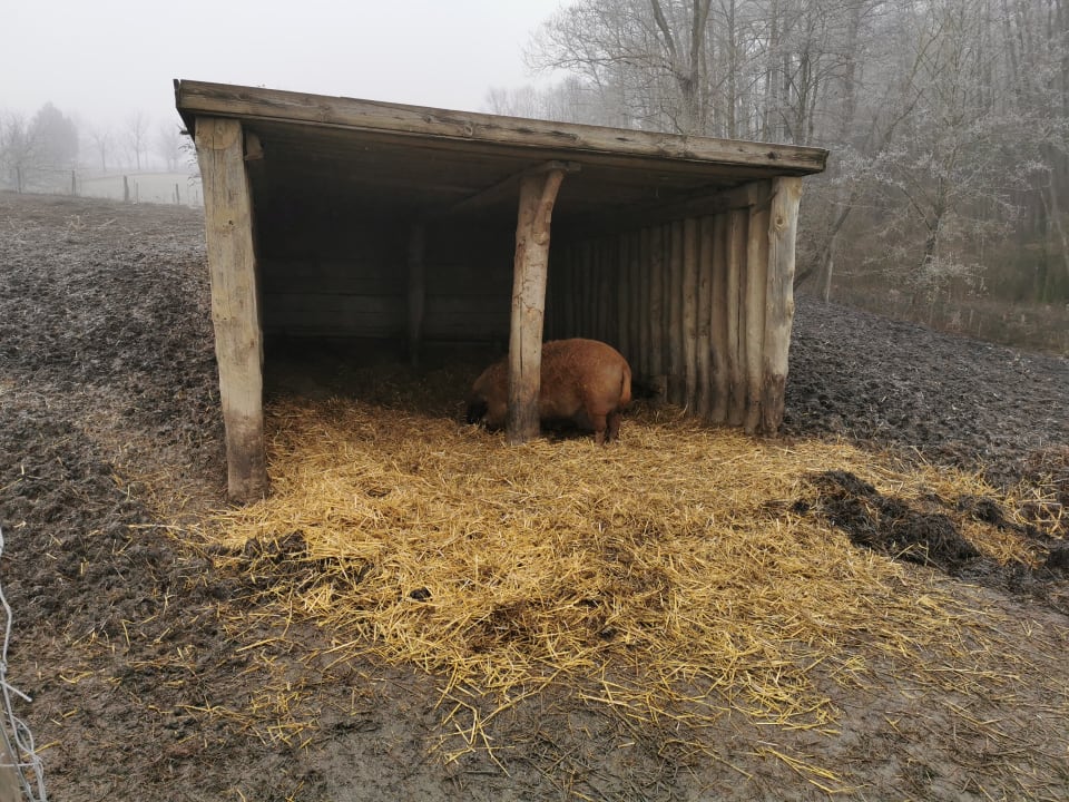 Sport & Freizeit Hotel Reiters Supreme