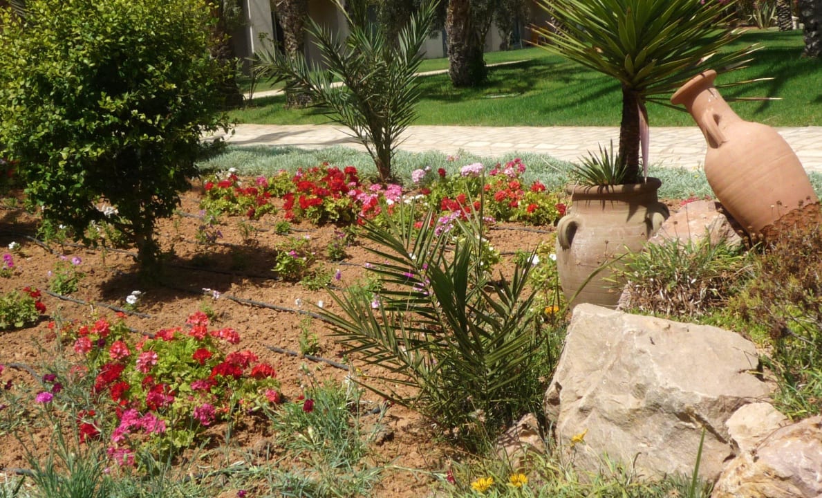 Ordentlicher Garten Zita Beach Resort