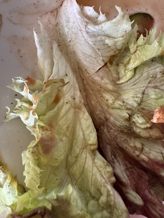 Gastro Paradisus by Meliá Salinas Lanzarote