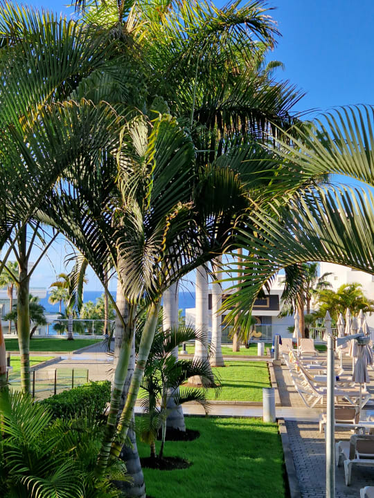 Gartenanlage Hotel Riu Arecas - Adults only