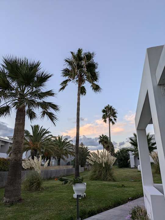 Gartenanlage Delfina Tropic Beach