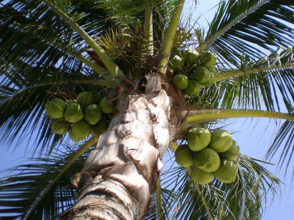 Bitte nicht darunter hinlegen Sai Kaew Beach Resort