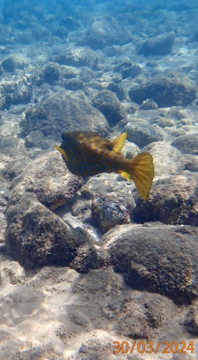 Sport & Freizeit Ghazala Beach