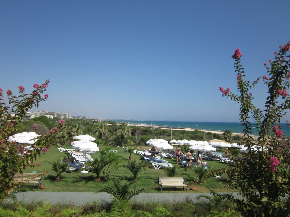Weg zum Strand Royal Atlantis Spa & Resort