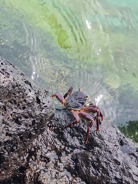 Strand Shandrani Beachcomber Resort & Spa