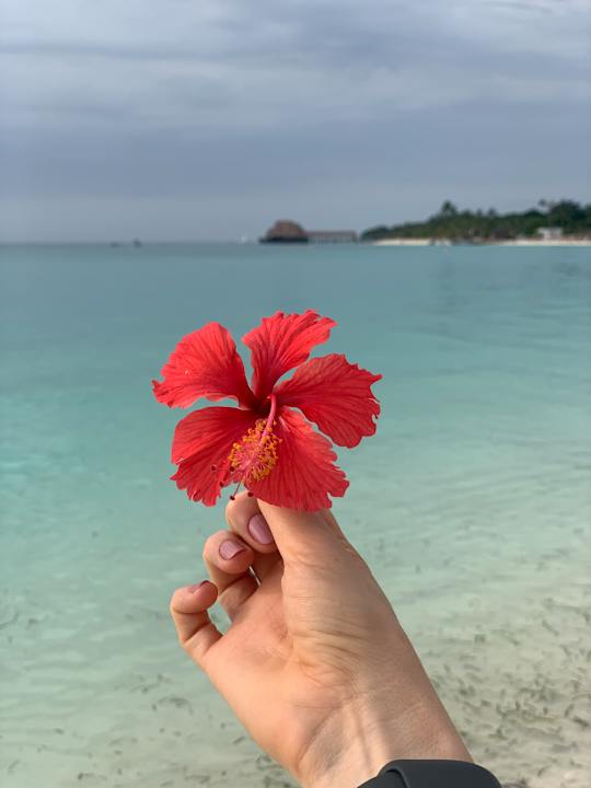 Strand Hotel Riu Palace Zanzibar