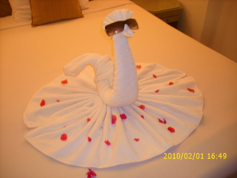 Jeden Tag eine Überraschung SUNRISE Holidays Resort (Adults Only)