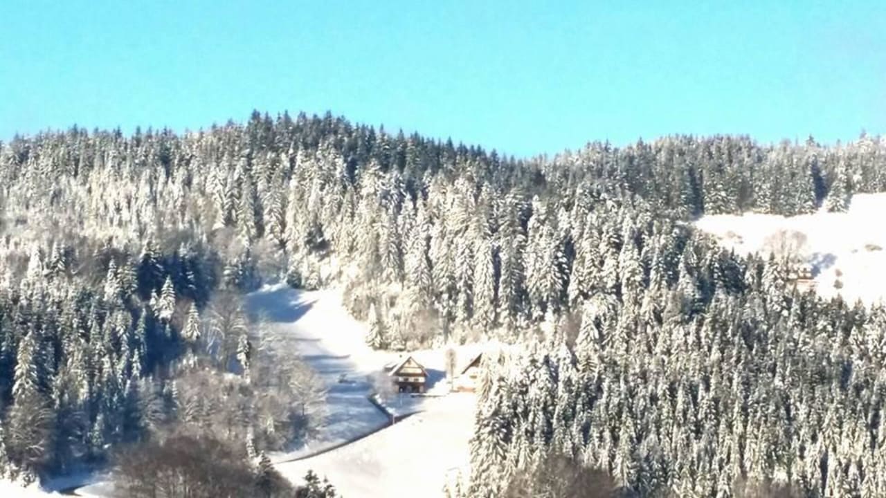 Ausblick vom Hotel Schwarzwald Resort Dollenberg