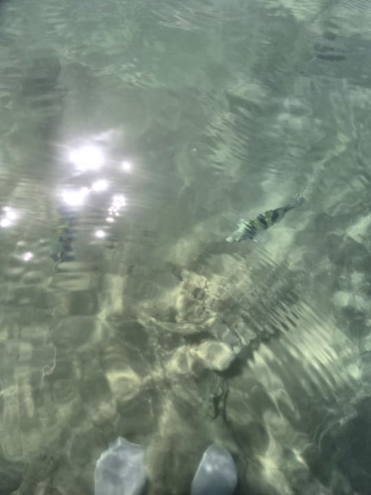 Strand SUNRISE Cardina Resort