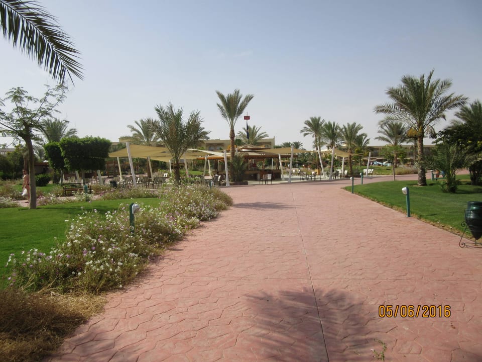 Weg zum Strand Desert Rose