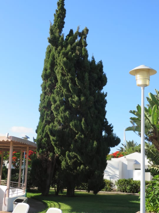 Gartenanlage Bungalows Cordial Sandy Golf