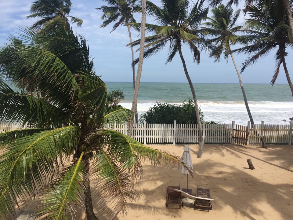 Gartenanlage The Beach Hotel Oasis Bridge