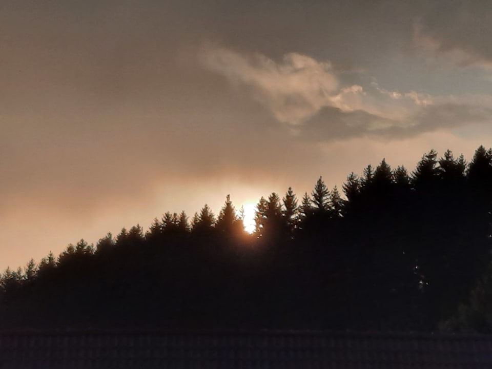 Ausblick Wildwiesenhof Miesenbach bei Birkfeld