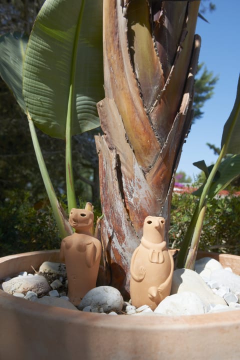 Gartenanlage Apartamentos Arenal d'Or