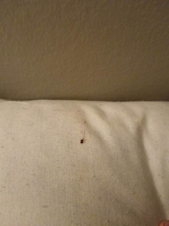 Zimmer Sun City Apartments