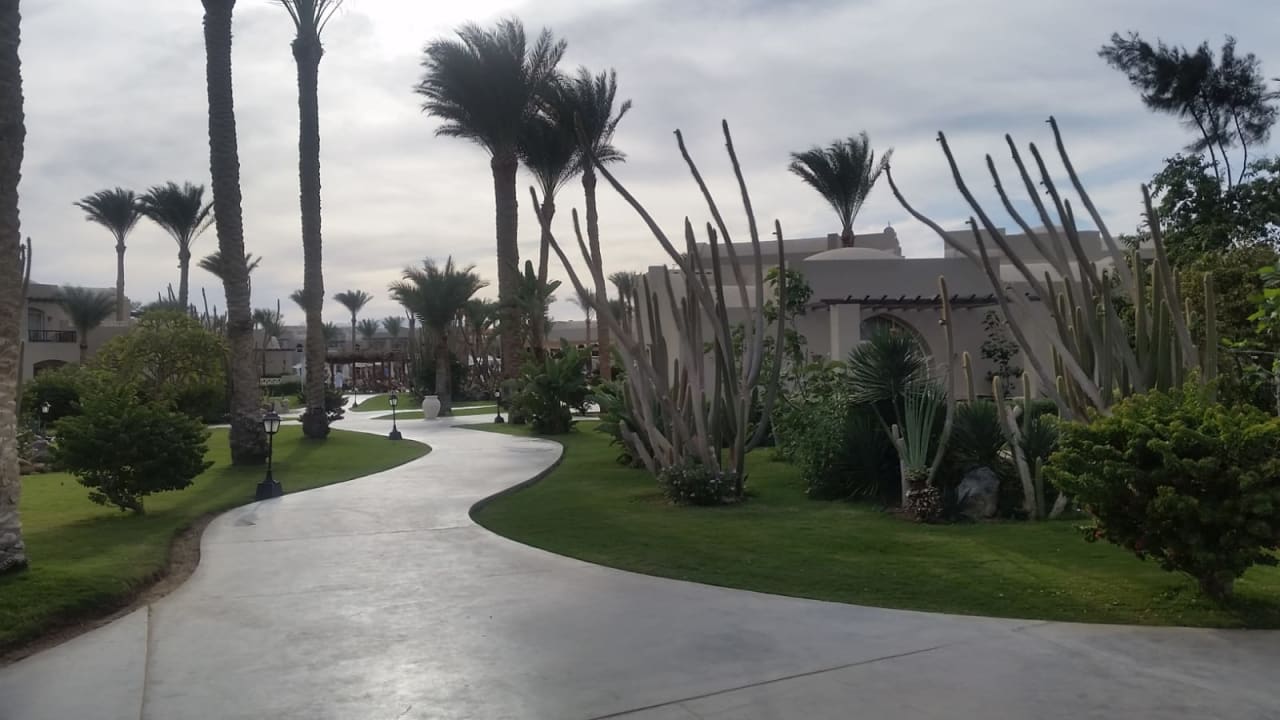 Garten Jaz Makadi Blue - TUI BLUE Makadi - Adults Friendly 16 Years Plus