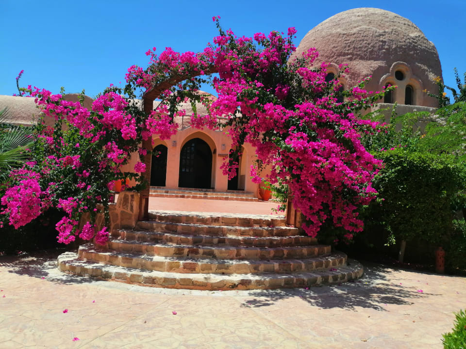 Gartenanlage Dream Lagoon Resort & Aqua Park