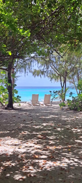 Strand Summer Island Maldives