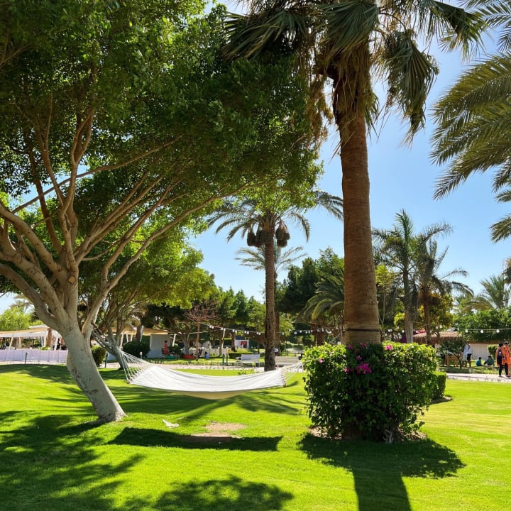 Gartenanlage Desert Rose