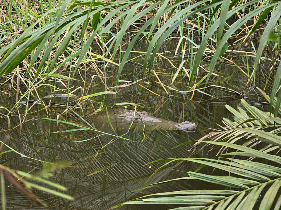 Sonstiges Casa Tili TicoExperience on IslaDamas