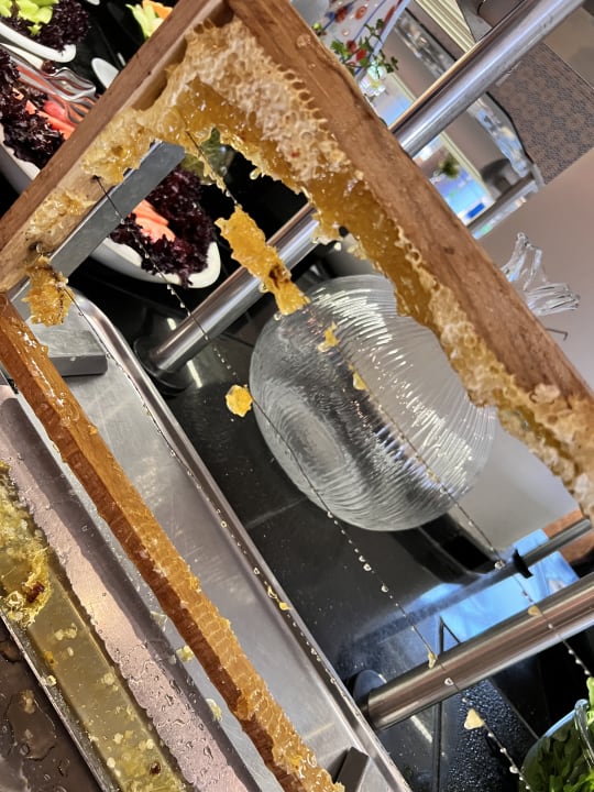 Gastro TUI BLUE Palm Garden