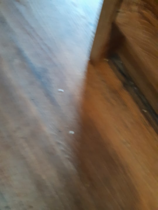 Zimmer Center Parcs Park Allgäu