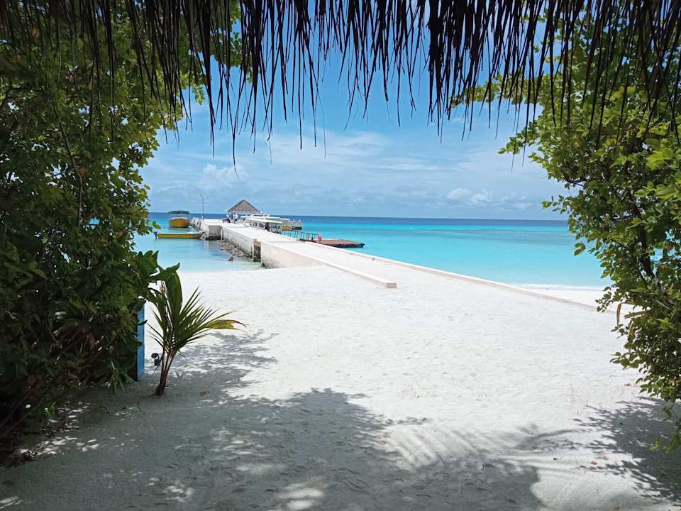 Lobby Summer Island Maldives