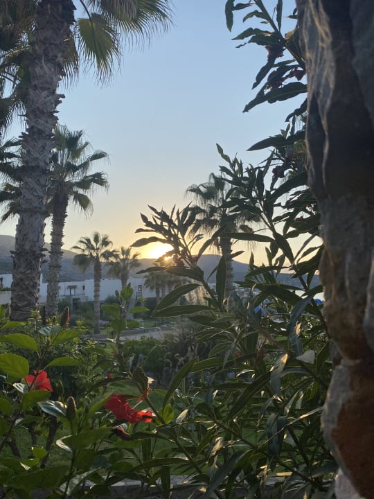 Gartenanlage Ikaros Beach Luxury Resort & Spa - Adults Only