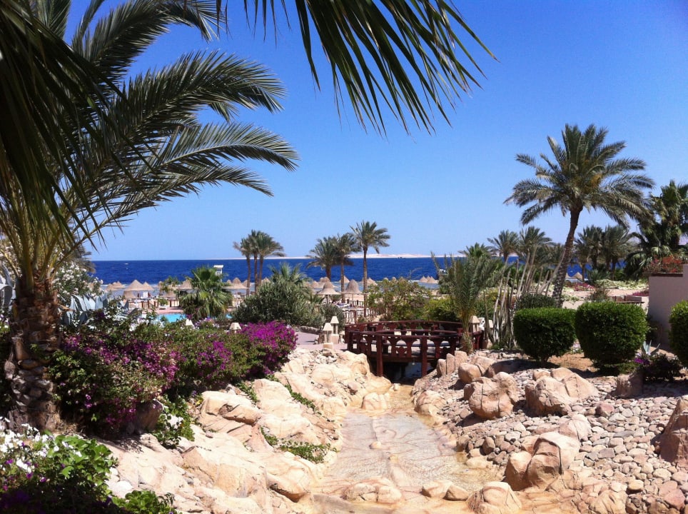 Hgbvkjg Parrotel Beach Resort