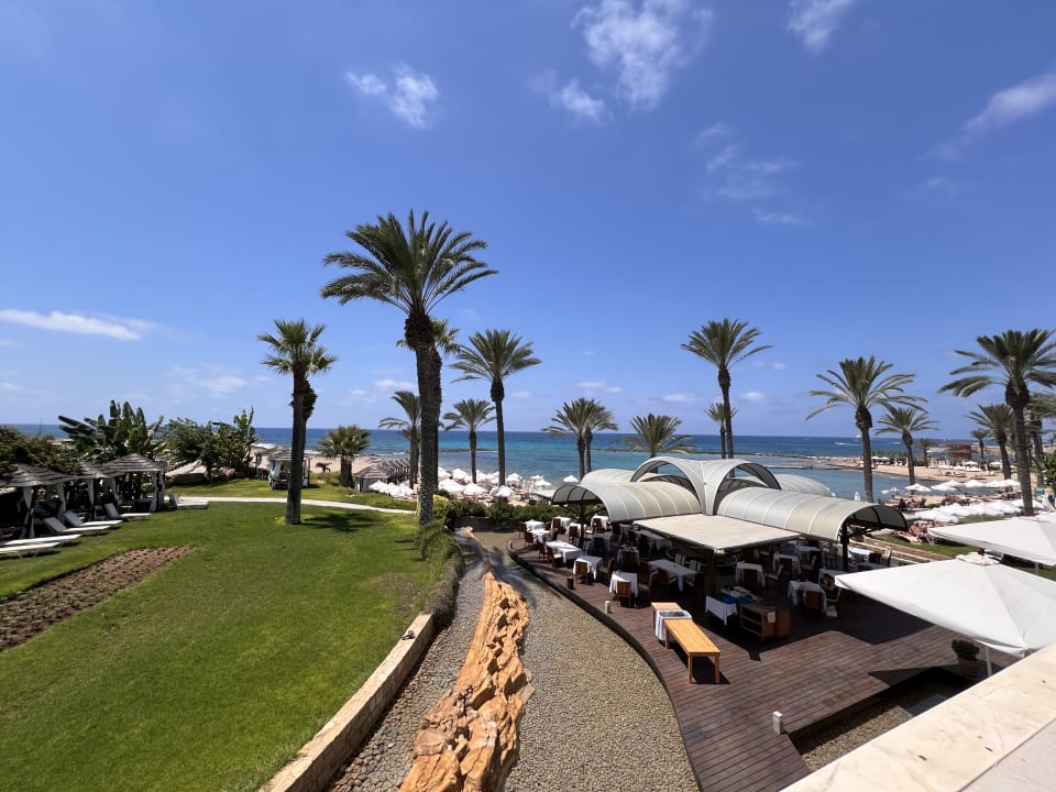 Ausblick TUI BLUE Pioneer Beach