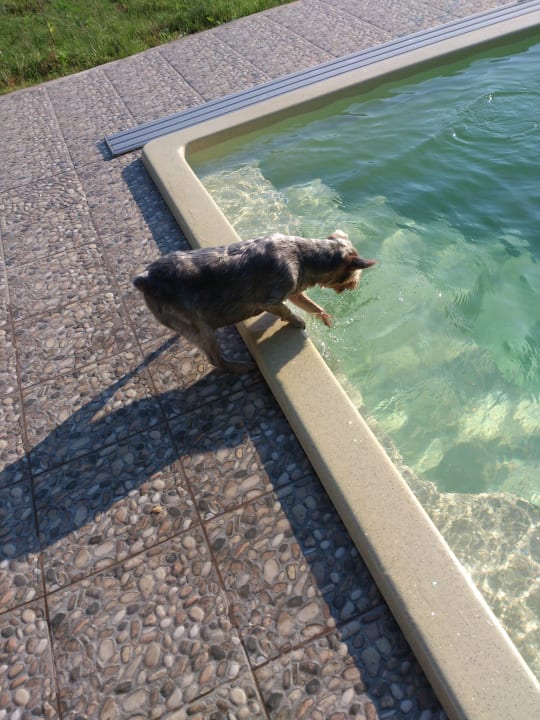 Sonstiges Ferienhaus Waldhof