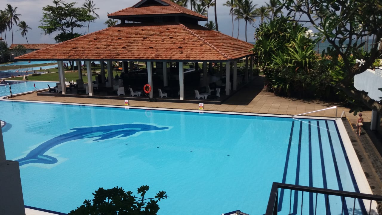 Pool Club Hotel Dolphin