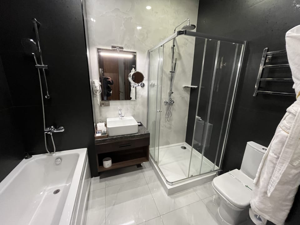 Zimmer Wyndham Garden Tashkent