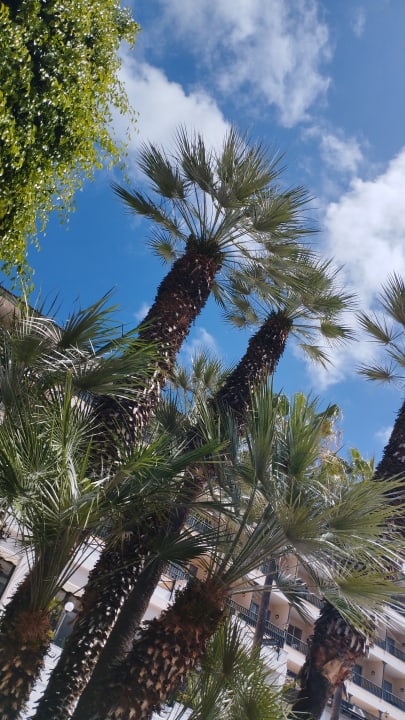 Gartenanlage BLUESEA Costa Jardin Spa