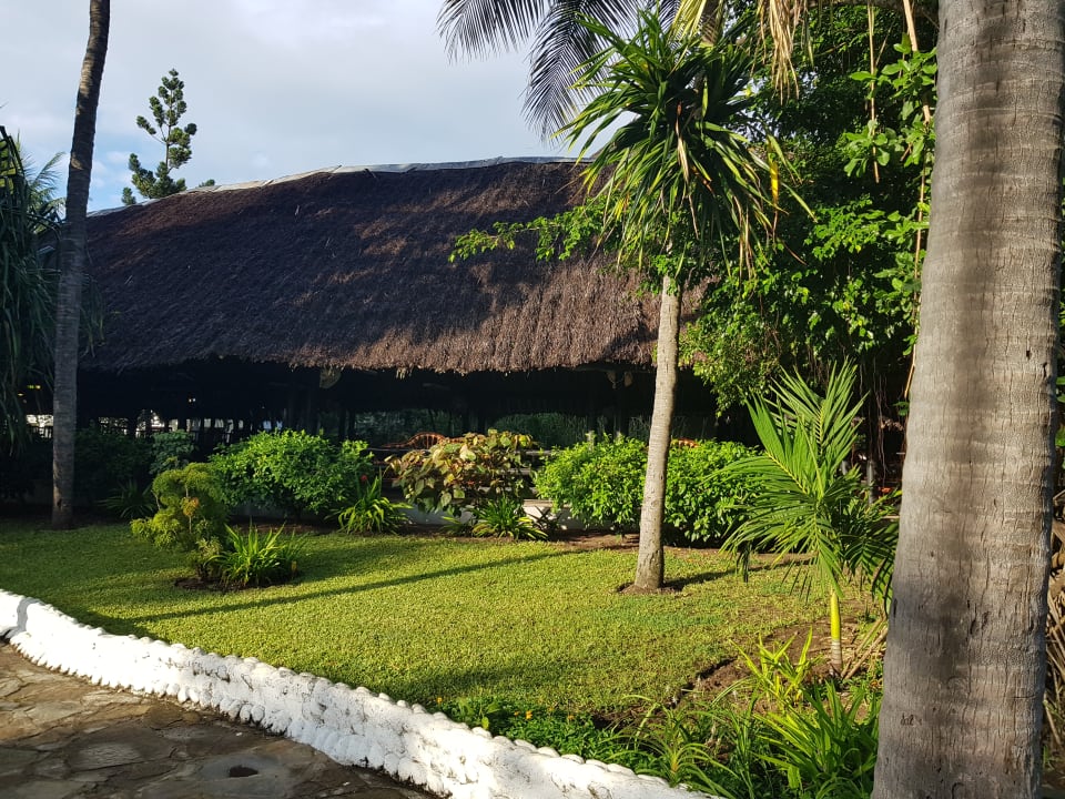 Gartenanlage Hotel Southern Palms Beach Resort