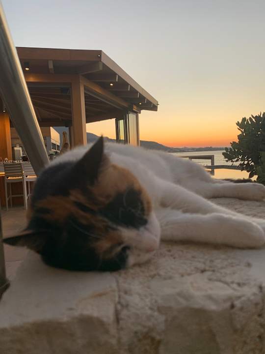 Außenansicht Cactus Mare - Adults only