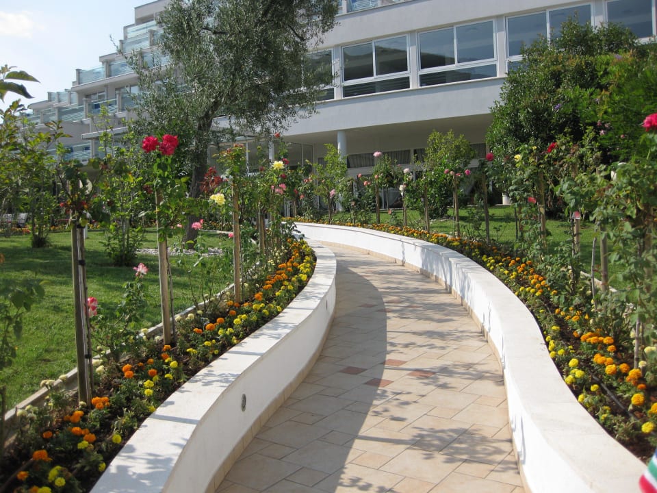 Sehr gepflegte Gartenanlagen Narcis Hotel