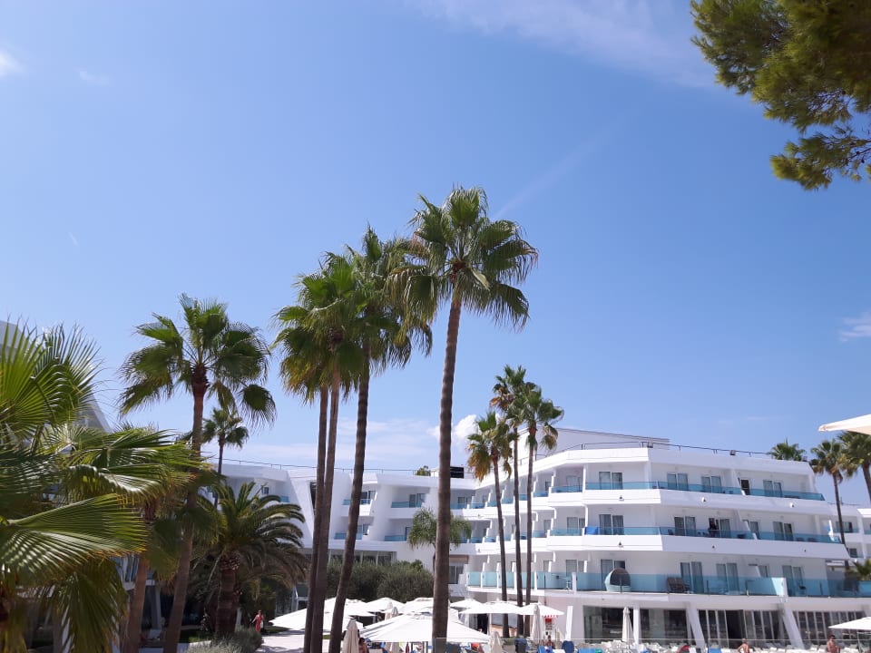 Außenansicht Iberostar Waves Playa de Muro