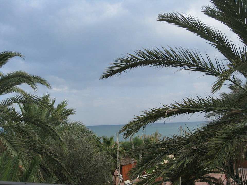 Palmen und Meer Hotel Paradis Palace