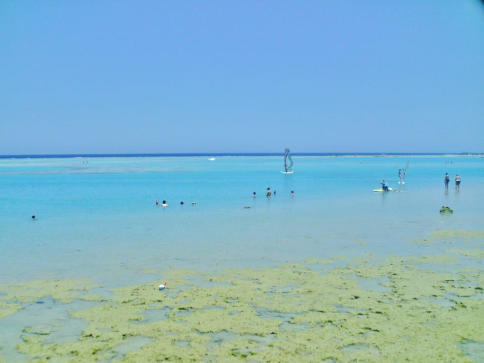 13 Stella Beach Resort & Spa Makadi Bay