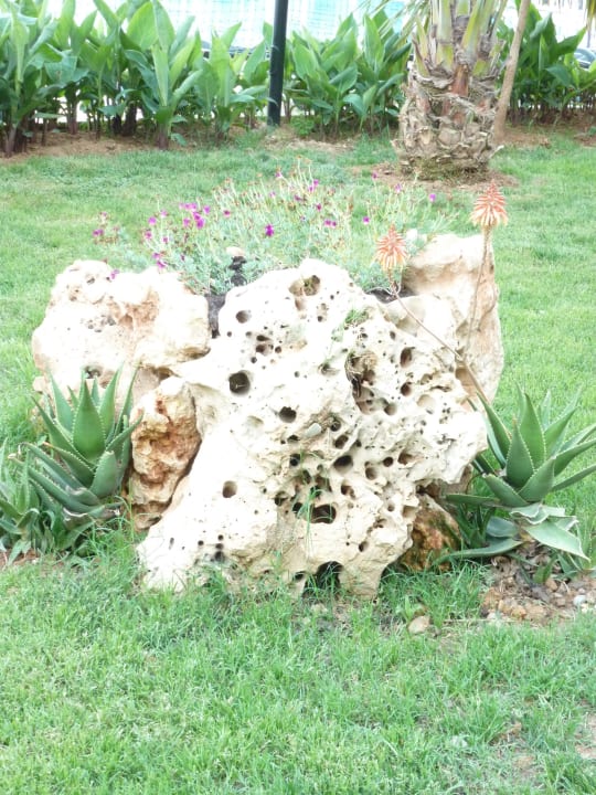 Ein schönes Detail Belek Beach Resort Hotel