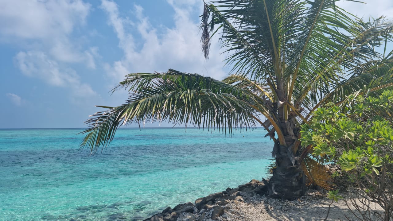 Strand Summer Island Maldives