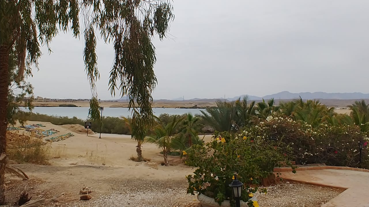 Ausblick Hotel Mangrove Bay Resort