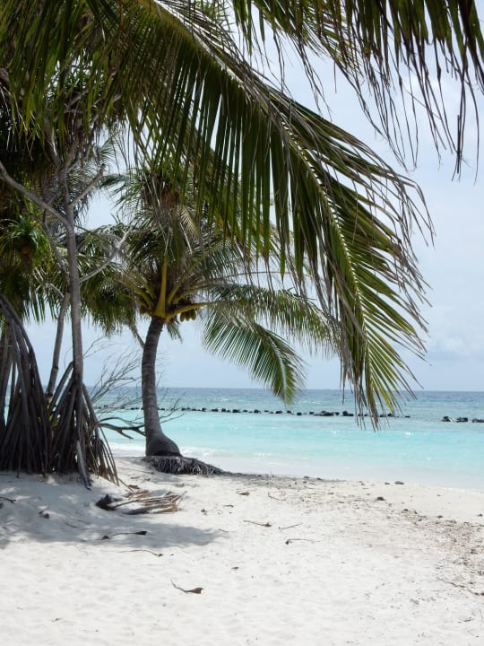 Strand Nordseite (Nähe Restaurant) Kuredu Island Resort & Spa