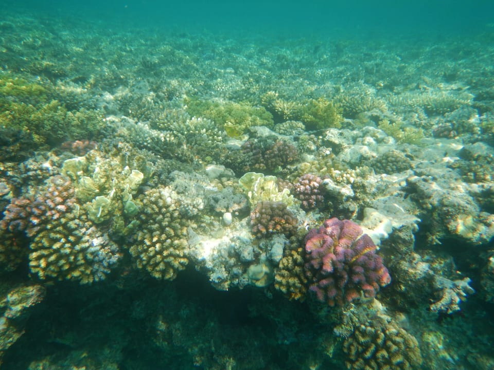 Sport & Freizeit Stella Beach Resort & Spa Makadi Bay