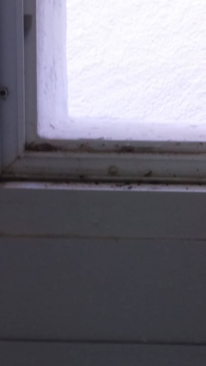 Fenster aus "Ersatzzimmer" Sun Club Eldorado