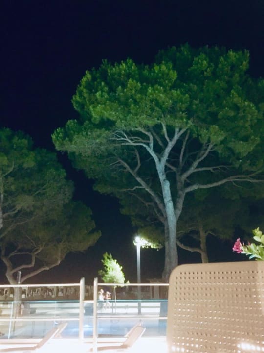 Ausblick Playa Grand Hotel