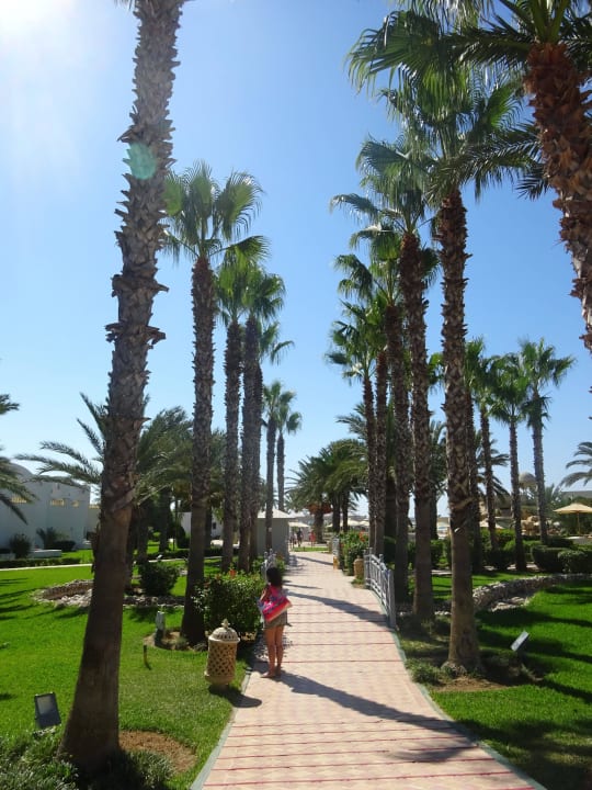 Weg zum Strand Steigenberger Marhaba Thalasso Hammamet