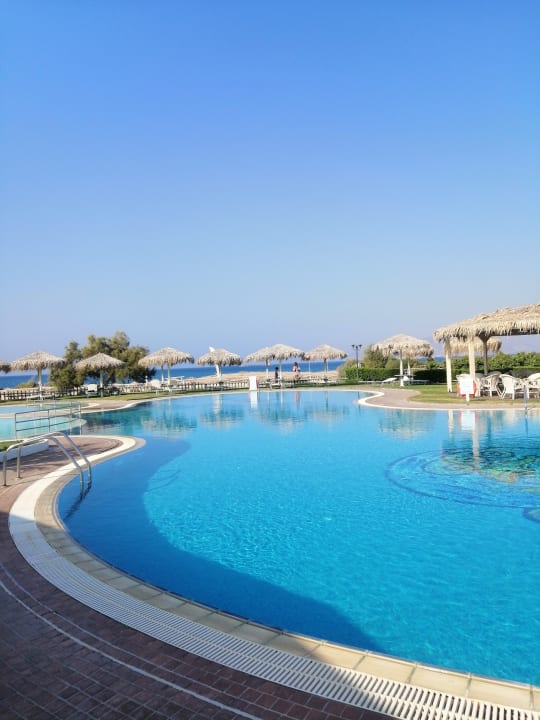 Pool Plaza Beach Hotel